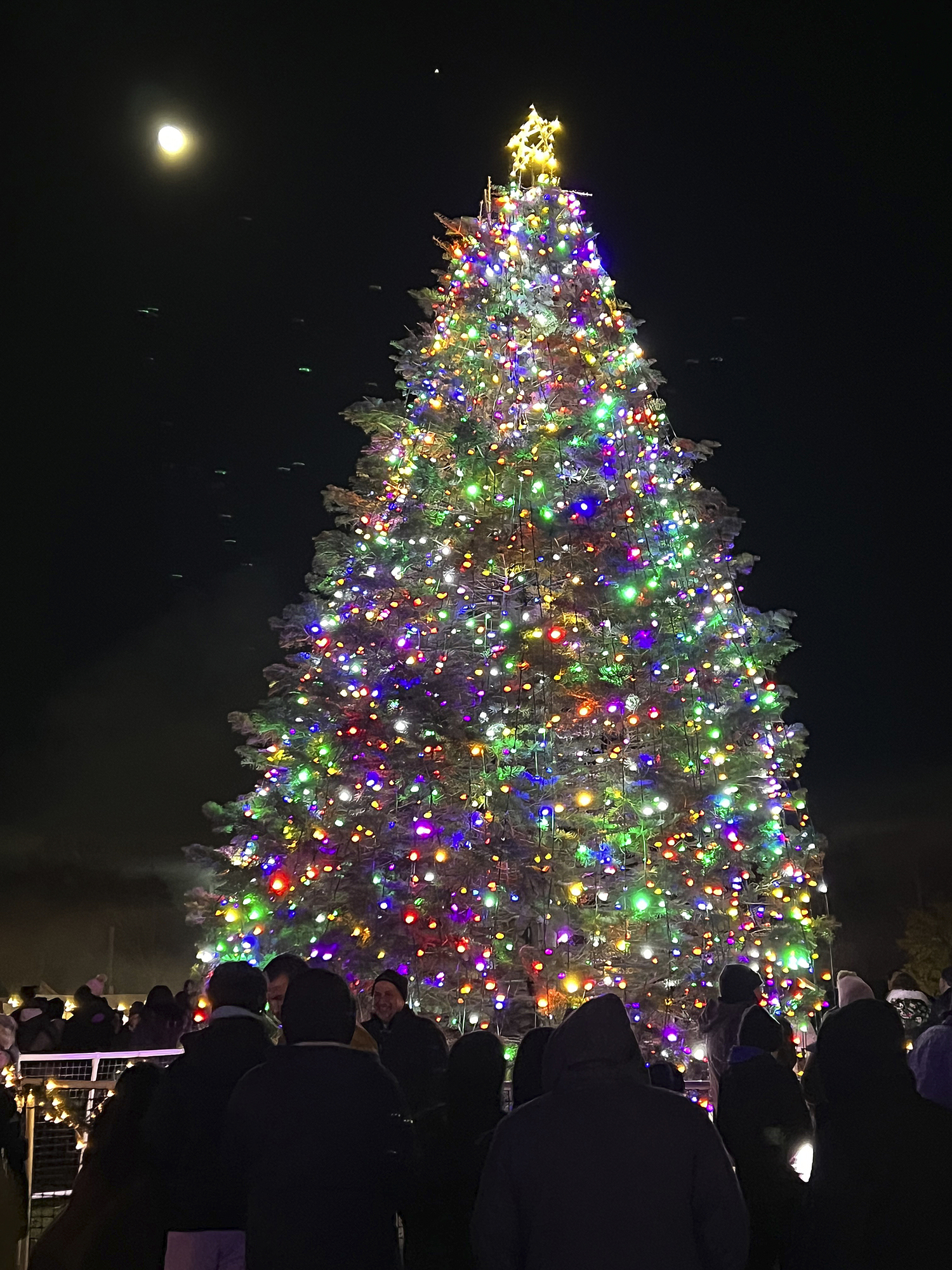 The tree is lighted in Agawam Park.