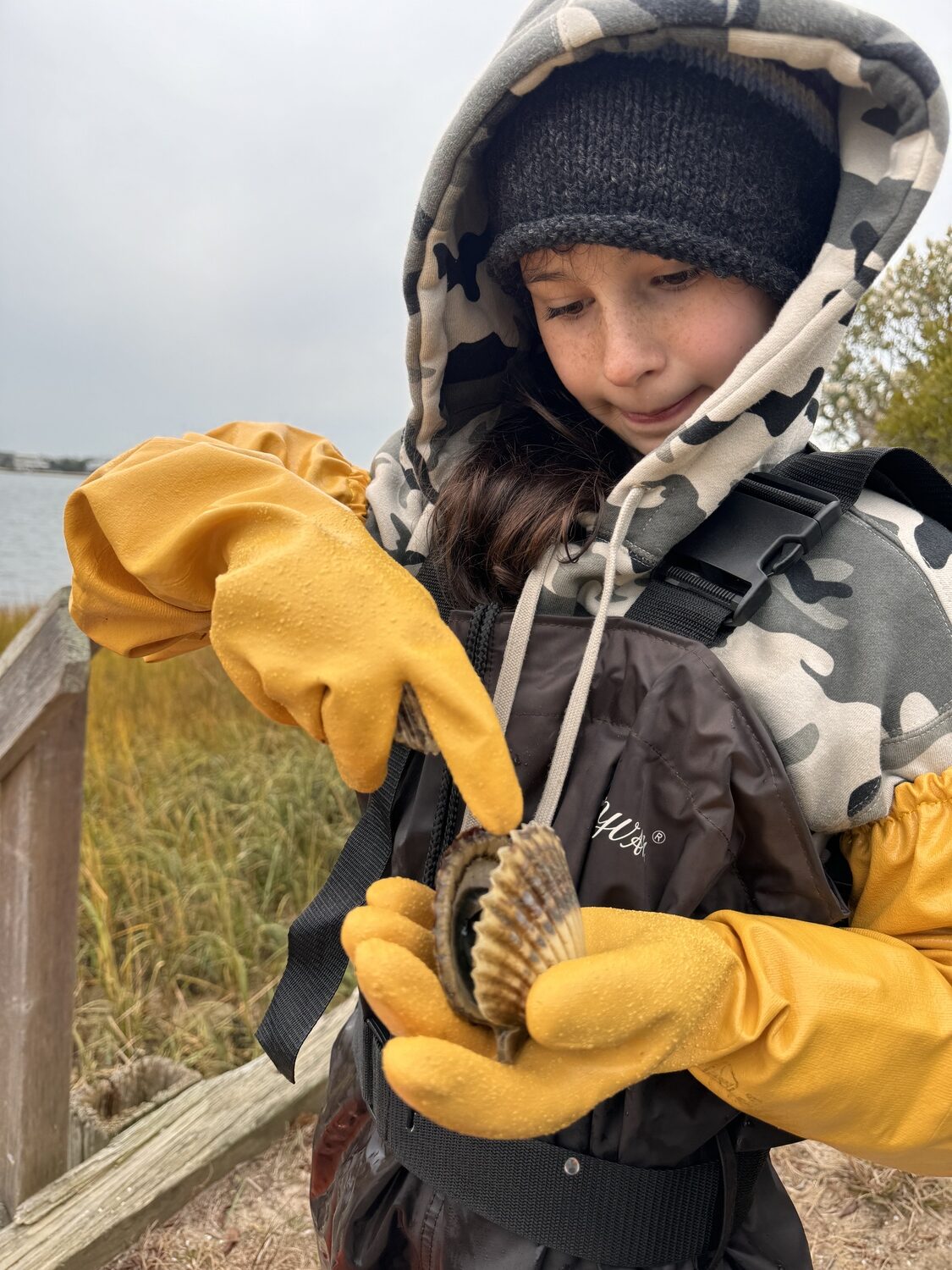 Juliette LaFemina examines one of the Peconic bay scallops she caught on Tuesday. 
MICHAEL WRIGHT