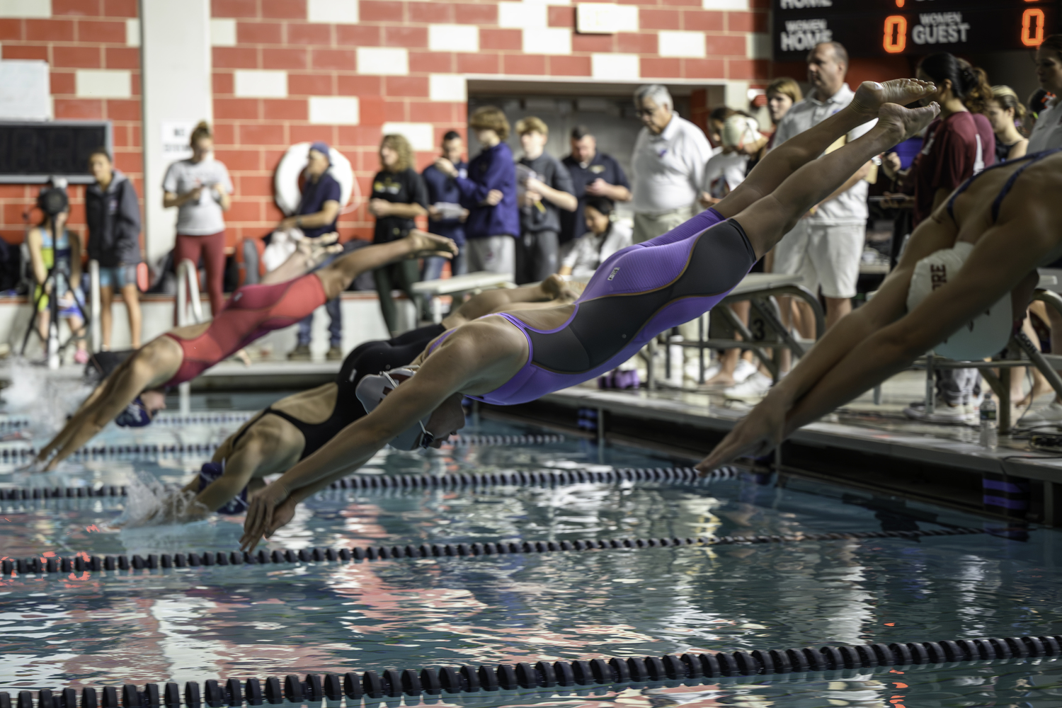 Lily Griffin dives into the pool for the start of the 50-yard freestyle.   MARIANNE BARNETT