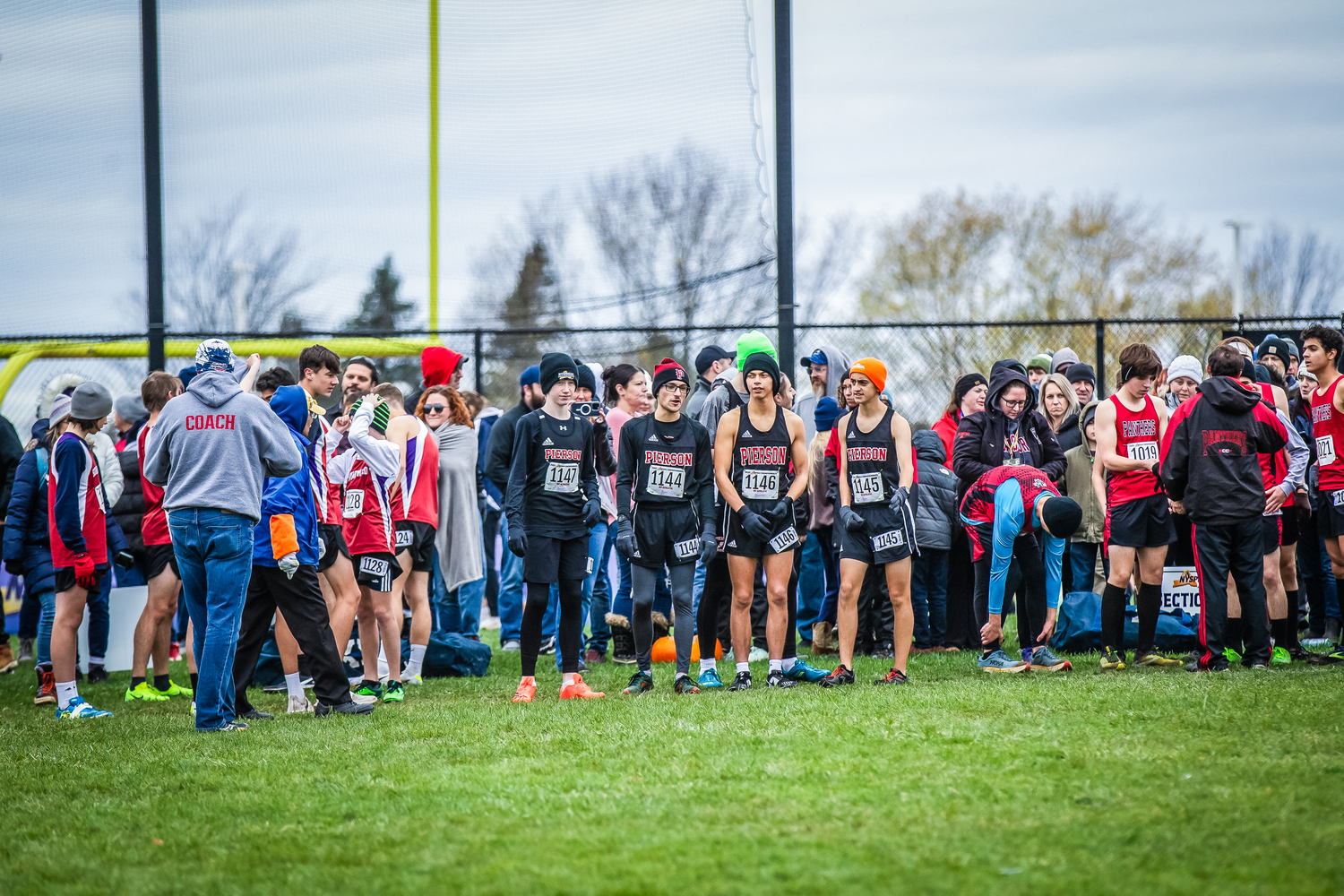 Pierson runners at the starting line of the state cross country championship at Vernon Verona Sherrill High School November 11. REBECCA MCMANUS