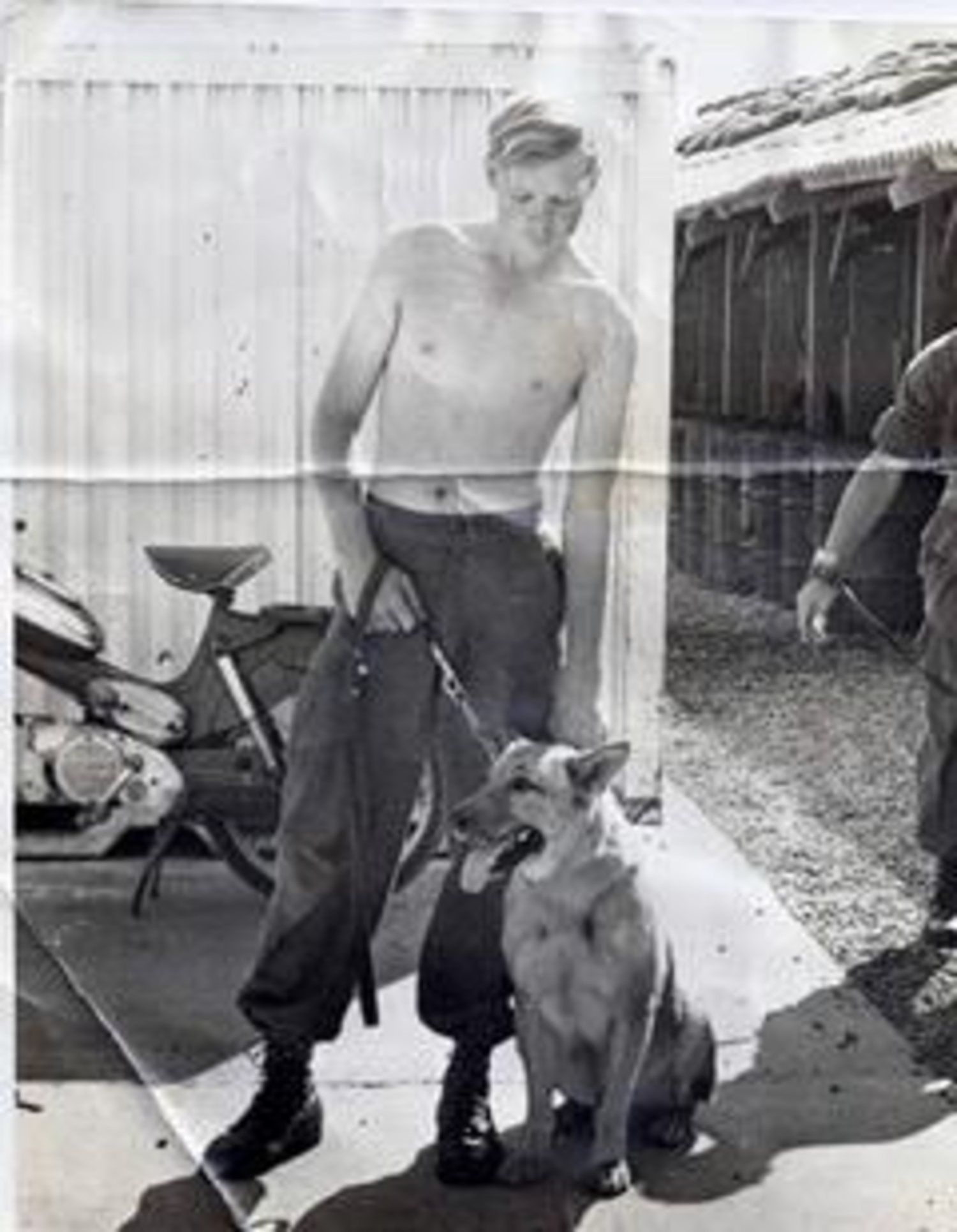 Tom Guldi with his sentry dog, Fritz, while serving in Vietnam. COURTESY TOM GULDI
