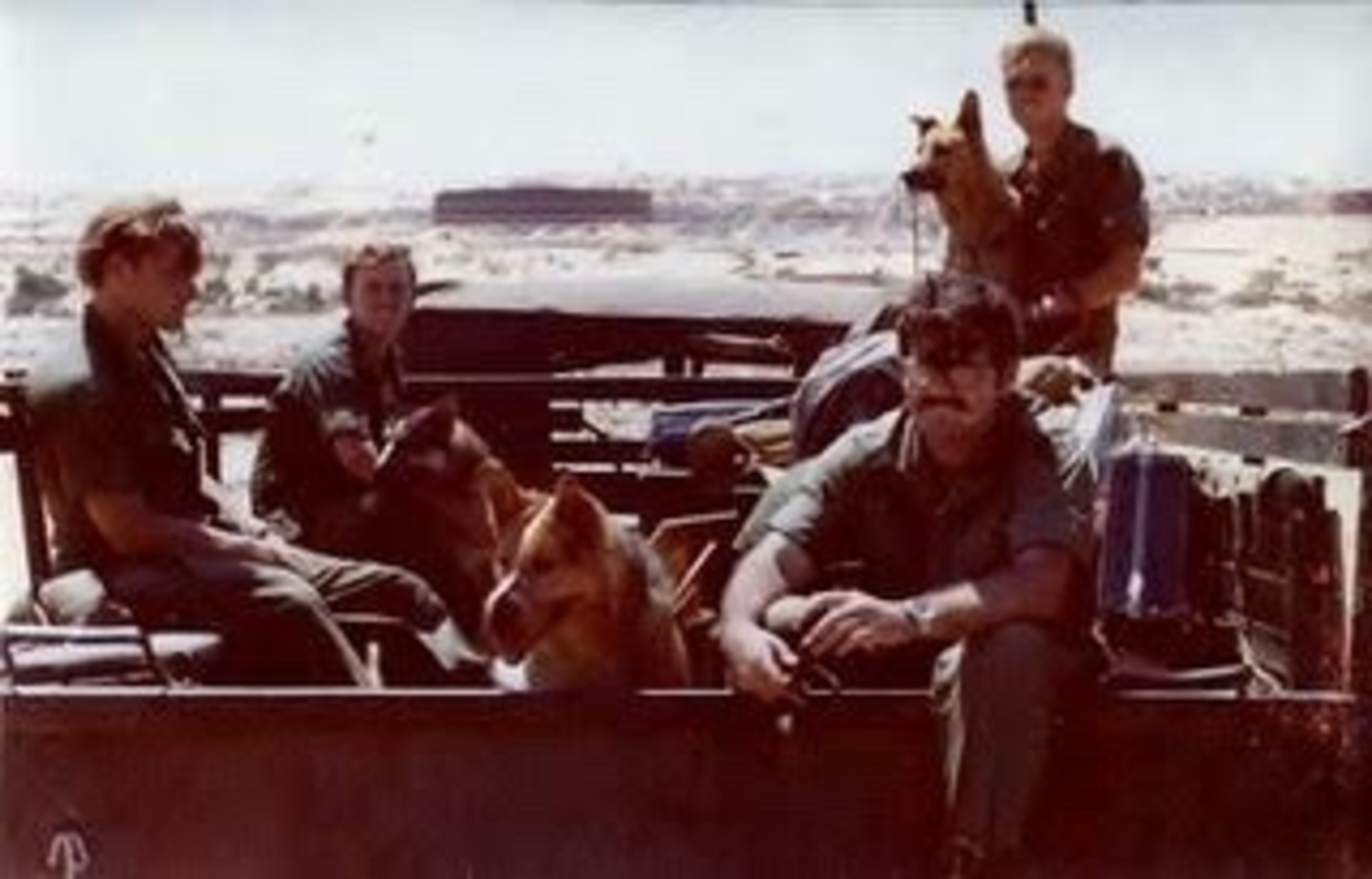 Sentry dogs and their soldiers. COURTESY TOM GULDI