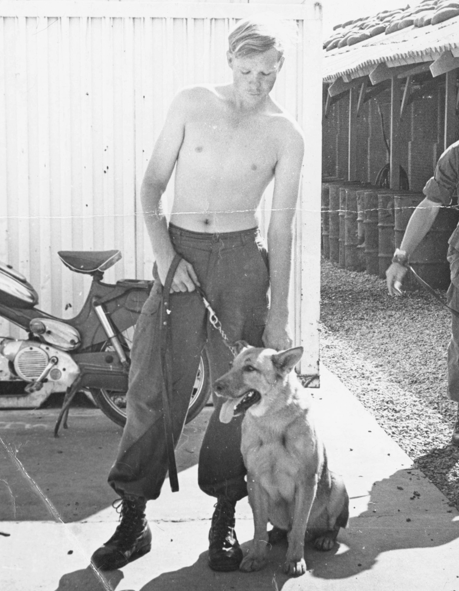 Tom Guldi with his sentry dog, Fritz, while serving in Vietnam in late 1971.   COURTESY TOM GULDI