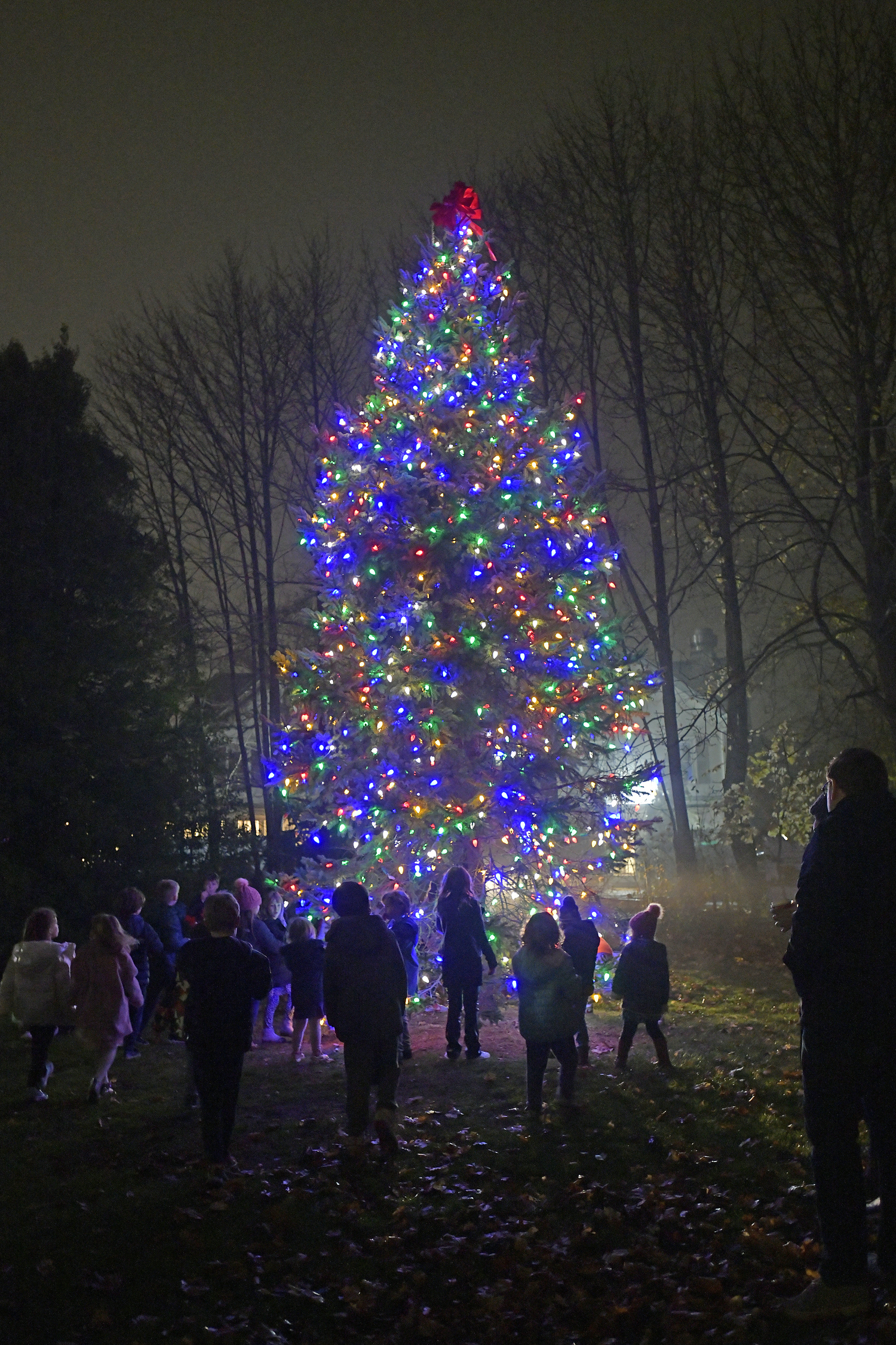 The tree is lighted on the village green in Westhampton Beach on Saturday evening.