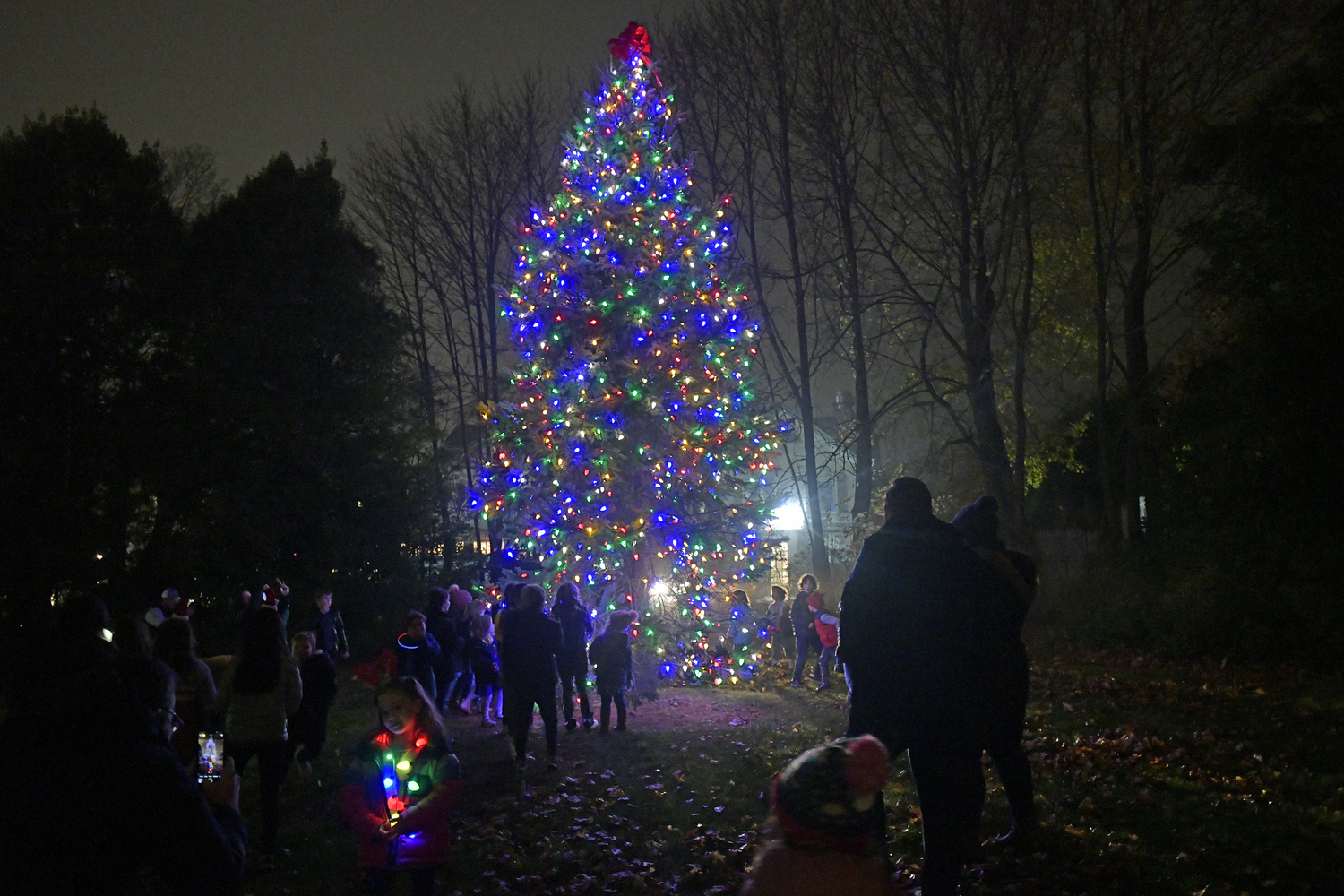 The tree is lighted on the village green in Westhampton Beach on Saturday evening.