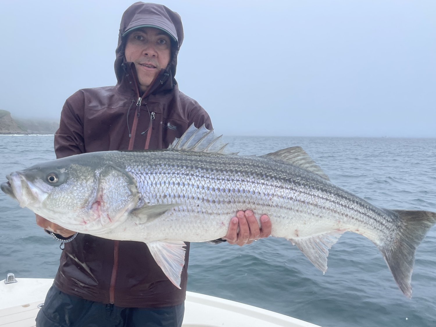 Restrictions on striped bass harvest are needed to protect the fishery for the years to come. Friday, December 22, is the last day to make your thoughts known on how new rules should be crafted. TODD RICHTER