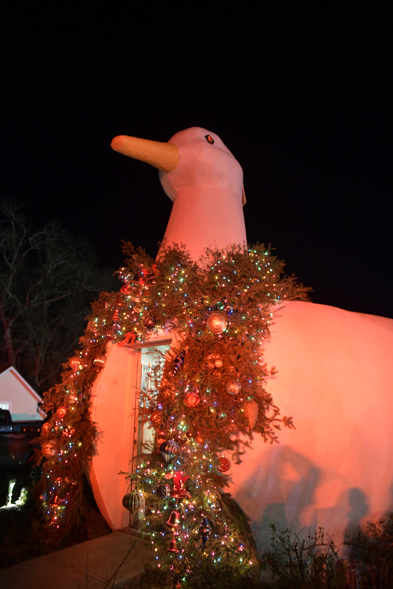 The Big Duck in Flanders is lighted on November 29.  DANA SHAW