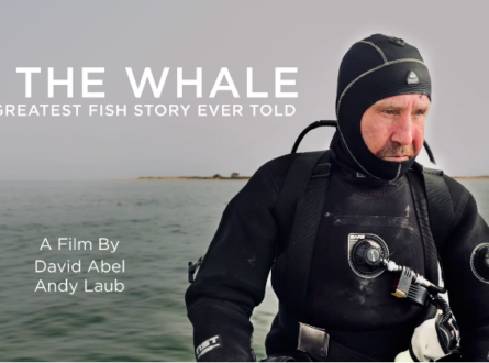In the Whale: Screening & Discussion w/Filmmakers