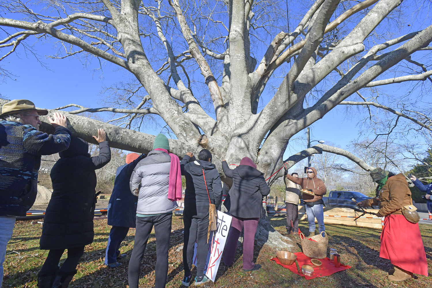 Members of the Shinnecock Nation and the general public gathered at the large, old beech tree at the corner of East Gate Road and Hill Street on Monday in attempts to preserve it from harm.  DANA SHAW