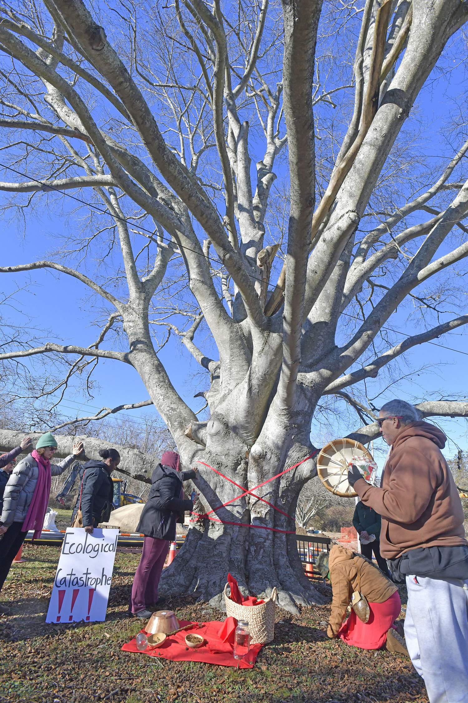 Members of the Shinnecock Nation and the general public gathered at the large, old beech tree at the corner of East Gate Road and Hill Street on Monday in attempts to preserve it from harm.  DANA SHAW