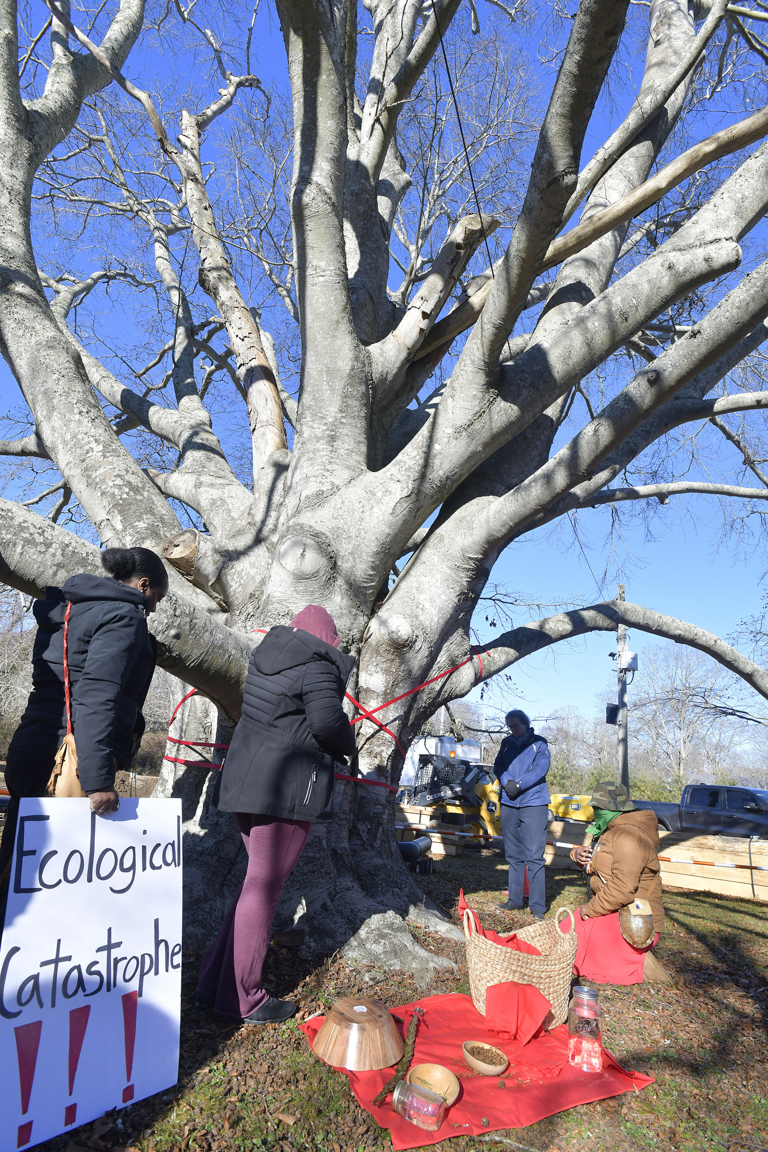 Members of the Shinnecock Nation and the general public gathered at the large, old beech tree at the corner of East Gate Road and Hill Street on Monday in attempts to preserve it from harm.  DANA SHAW