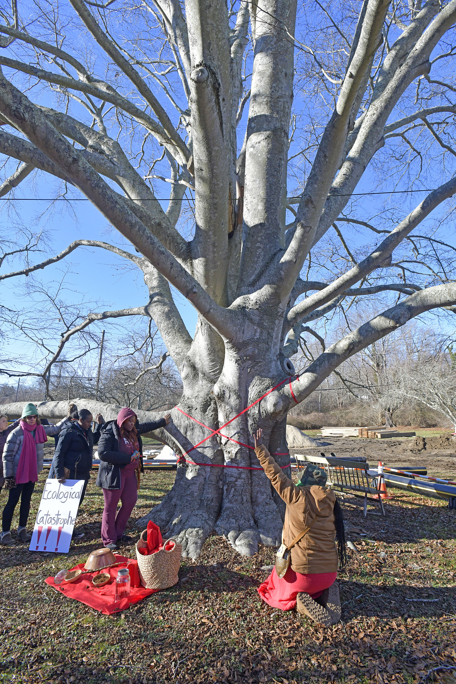 Members of the Shinnecock Nation and the general public gathered at the large, old beech tree at the corner of East Gate Road and Hill Street on Monday in attempts to preserve it from harm.  DANA SHAW