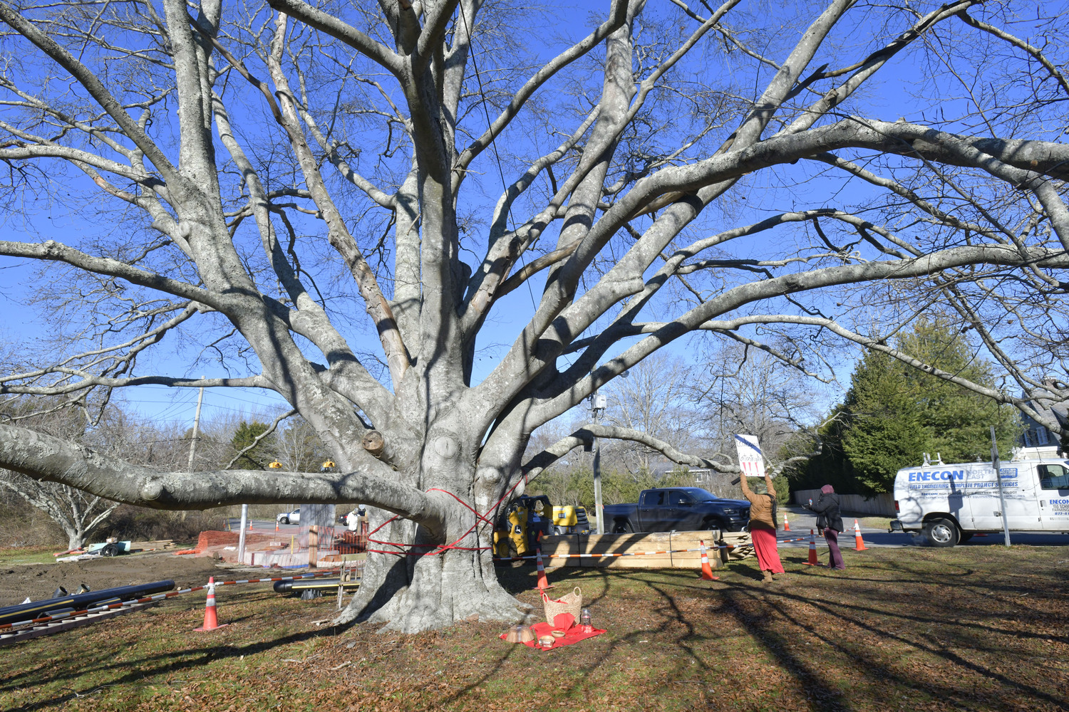 Members of the Shinnecock Nation and the general public gathered at the large, old beech tree at the corner of East Gate Road and Hill Street on Monday in attempts to preserve it from harm.  DANA SHAW