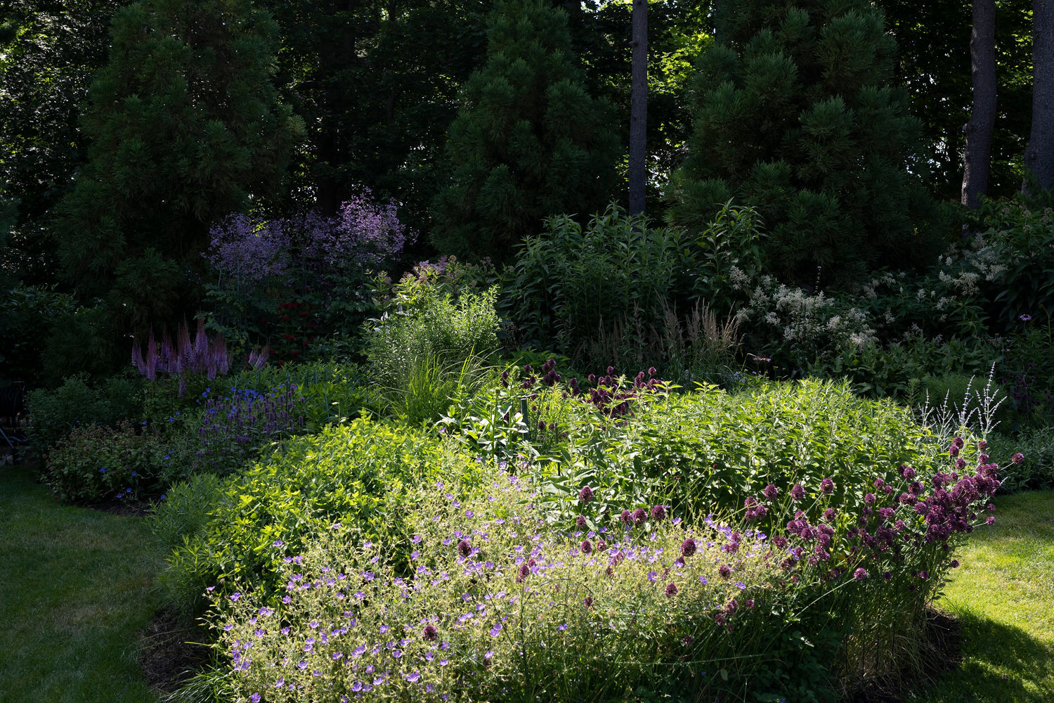 Deborah Chud's garden. MARISSA JOHANNA ORIFICE PHOTOGRAPHY