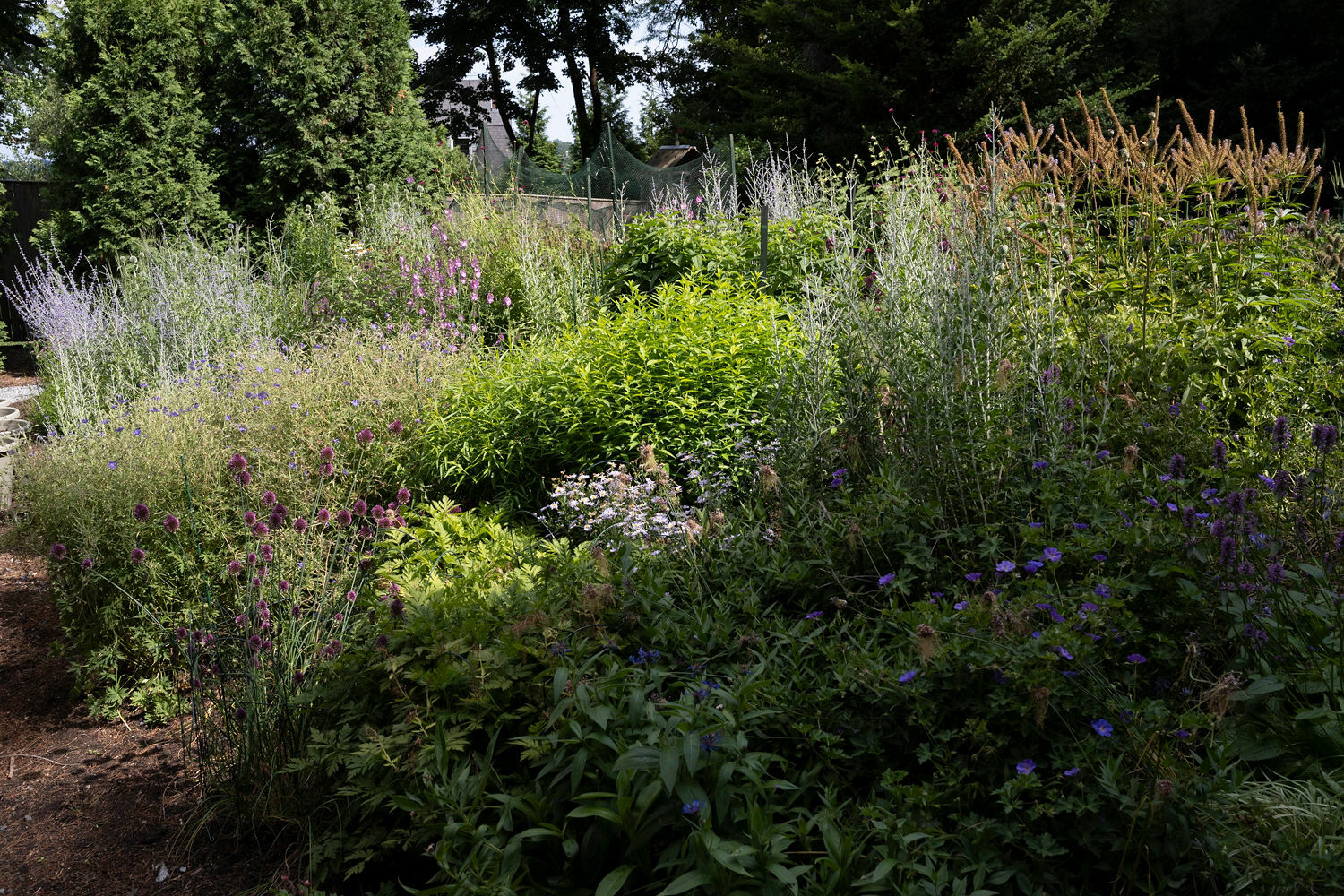 Deborah Chud's garden. MARISSA JOHANNA ORIFICE PHOTOGRAPHY