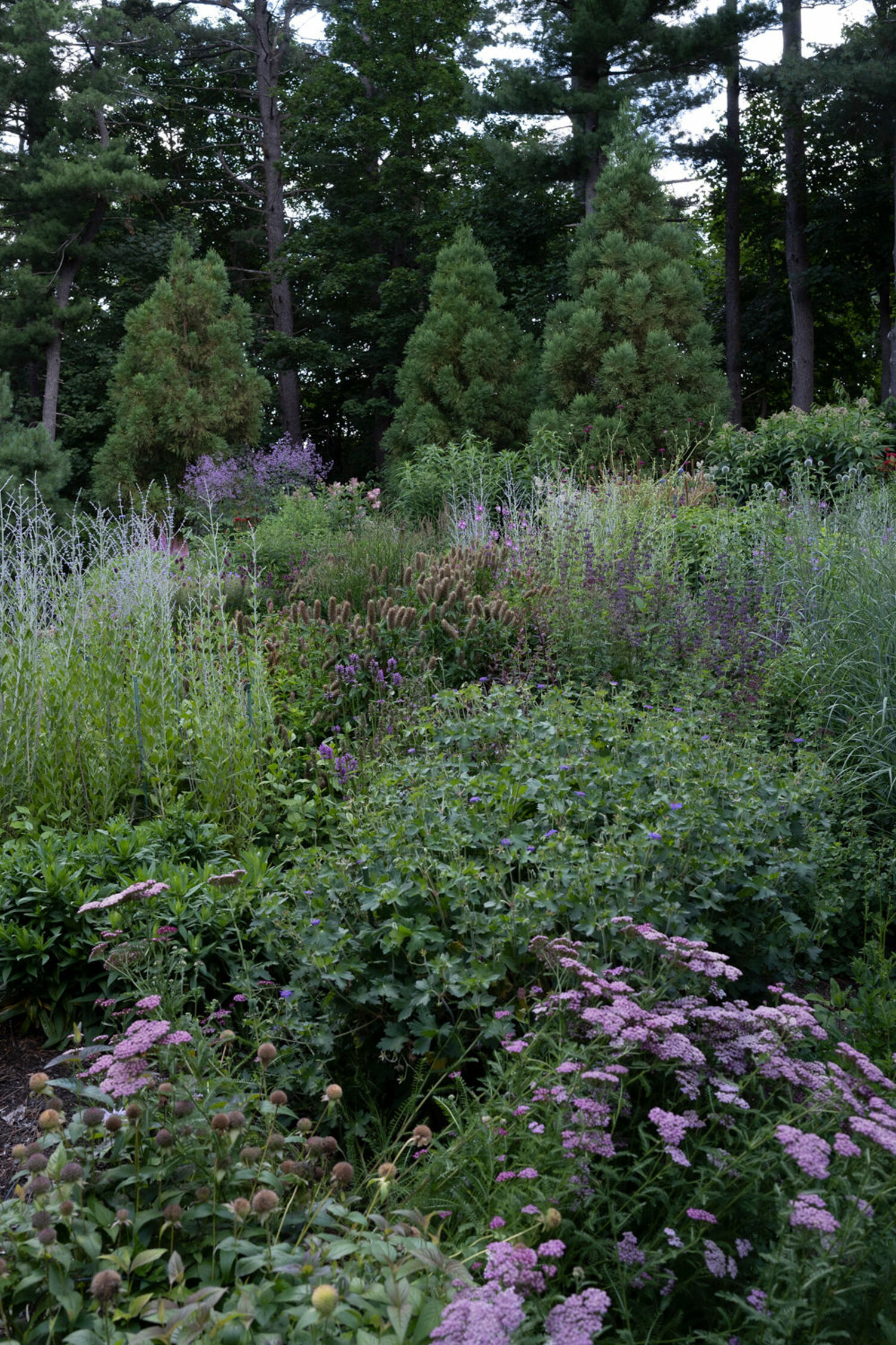 Deborah Chud's garden. MARISSA JOHANNA ORIFICE PHOTOGRAPHY