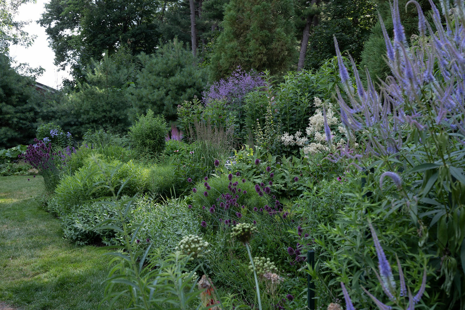 Deborah Chud's garden. MARISSA JOHANNA ORIFICE PHOTOGRAPHY