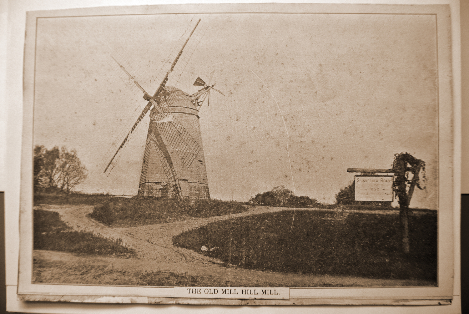 Originally located on Mill Hill on Windmill Lane in Southampton Village, the windmill was move to it's current location on Stony Brook Southampton campus in 1890.  COURTESY SOUTHAMPTON HISTORY MUSEUM