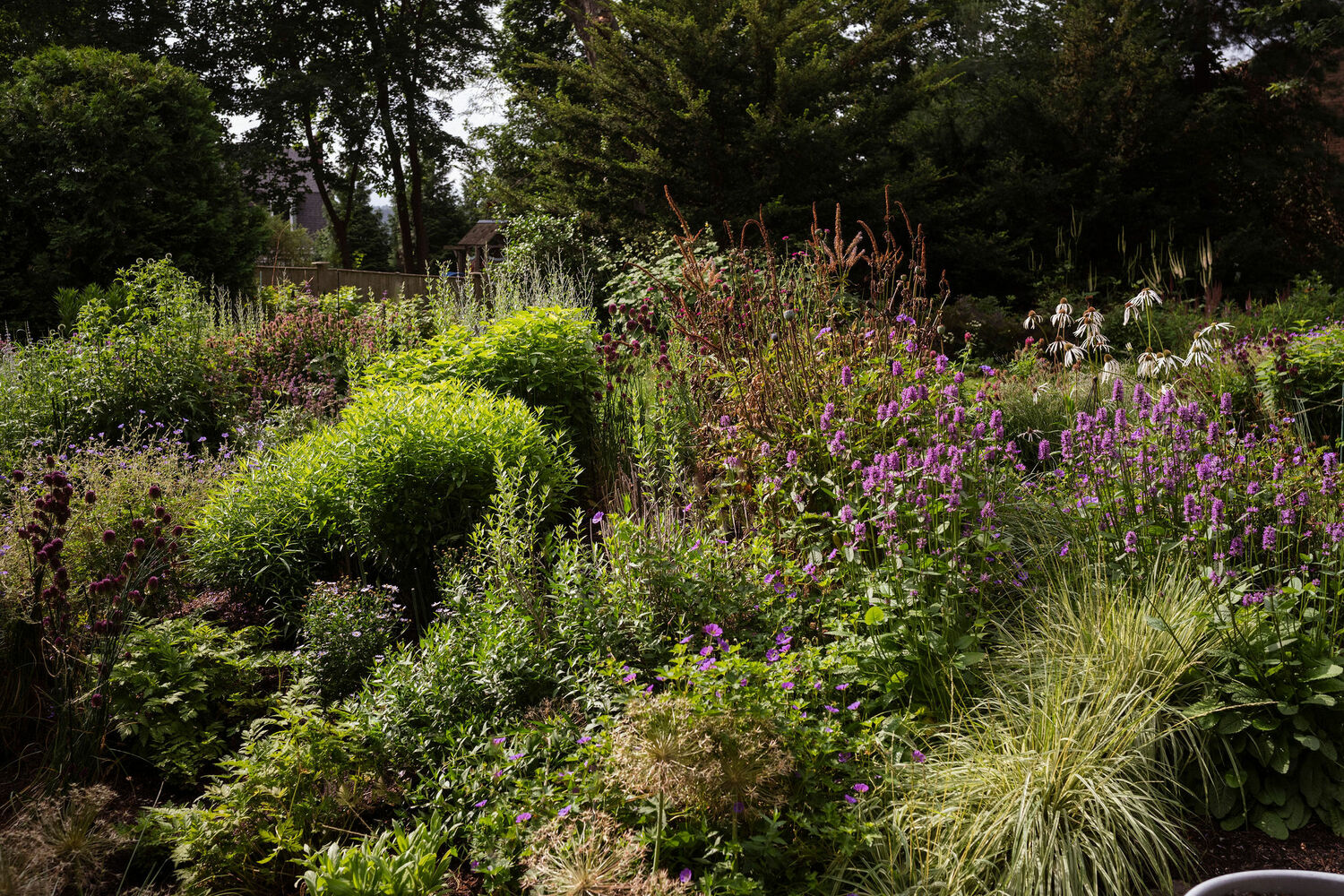 Deborah Chud's garden. MARISSA JOHANNA ORIFICE PHOTOGRAPHY