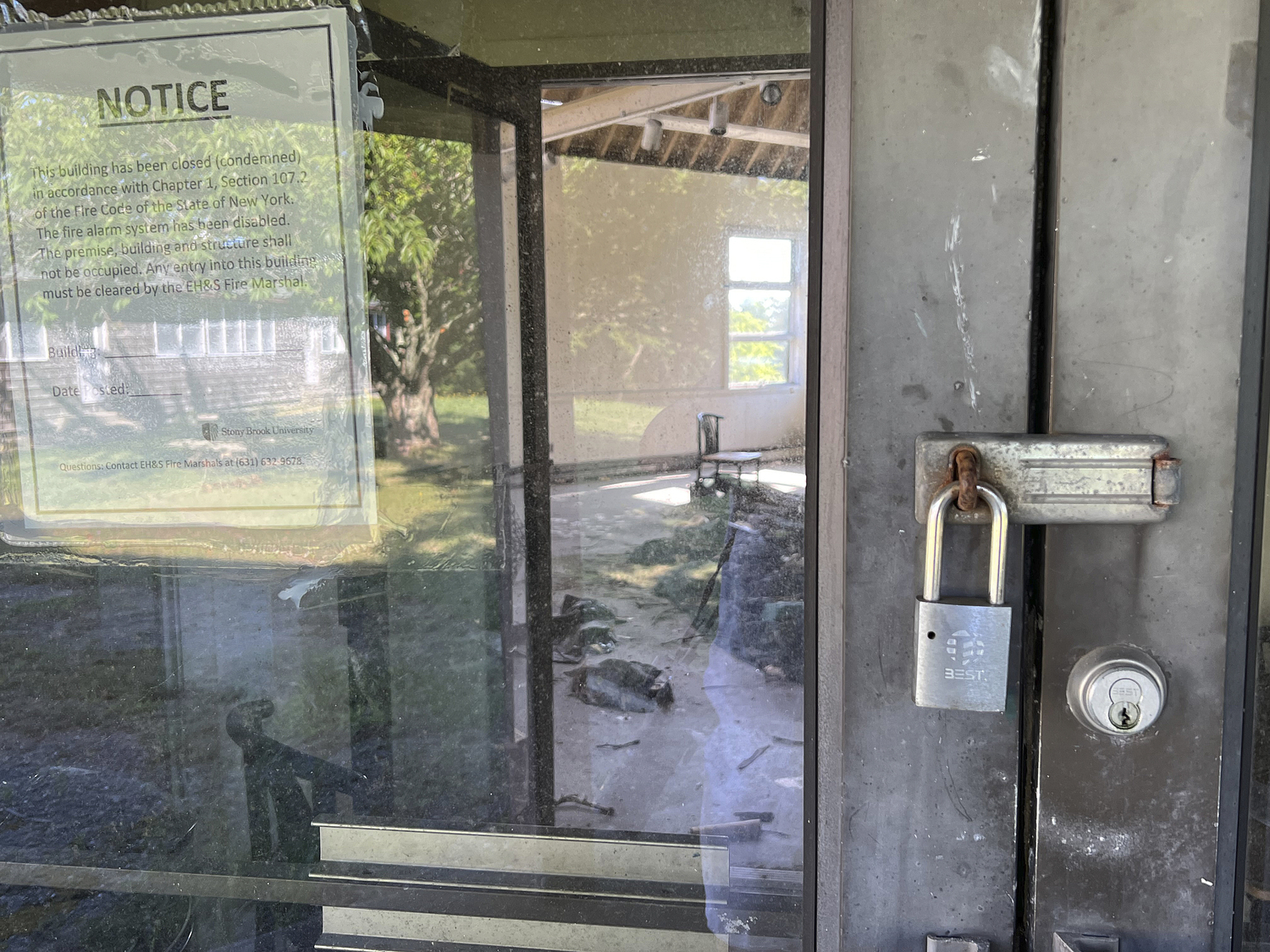 Five ospreys were found dead in the condemned Munford Studio in August on the Southampton campus in August. A result of their nest, which was built on a tarp covering the roof, collapsing into the building.  DANA SHAW