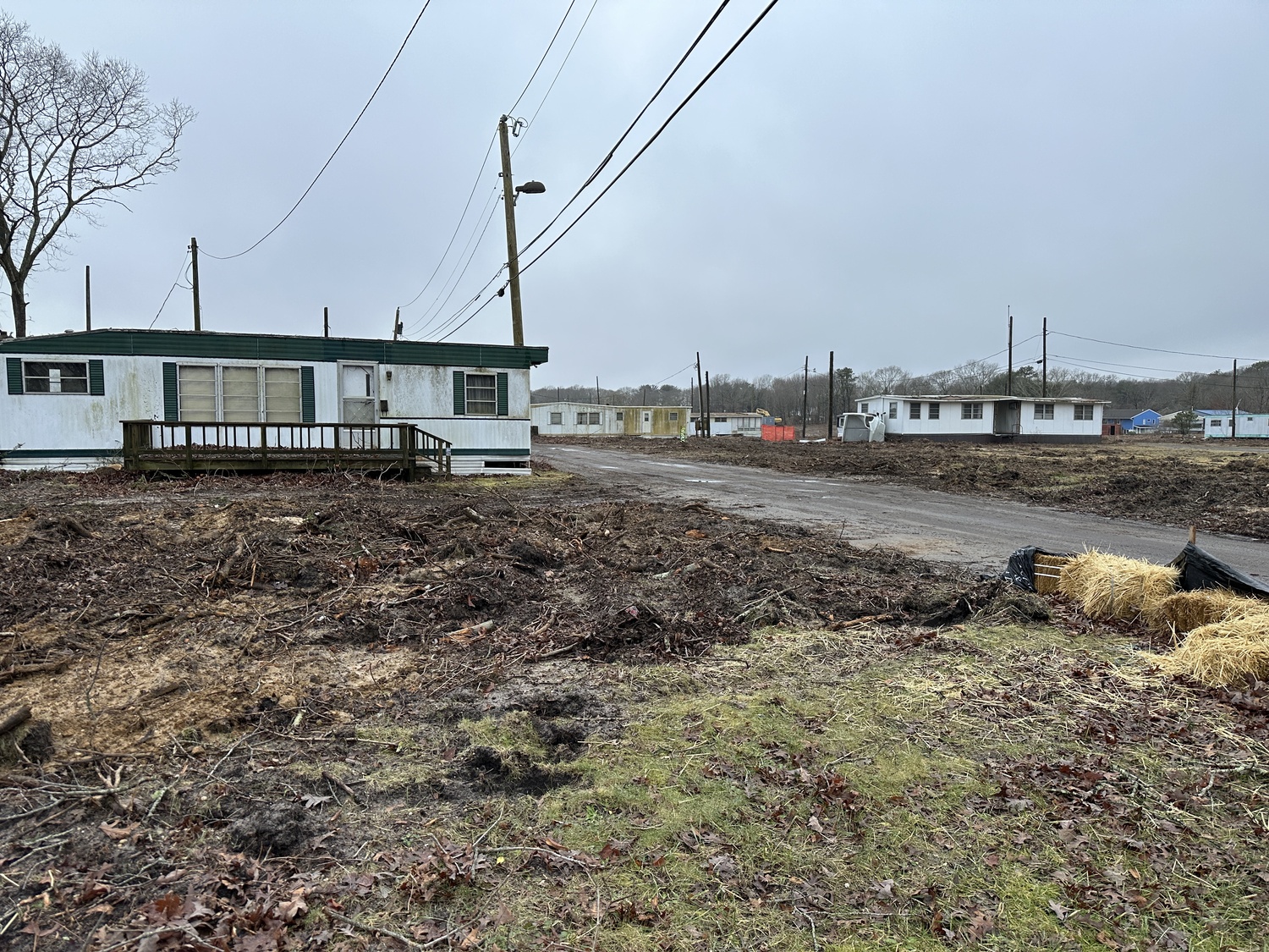 Tree removal has exposed the mobile home park site off Old Country Road in Eastport.  BRENDAN J. O'REILLY