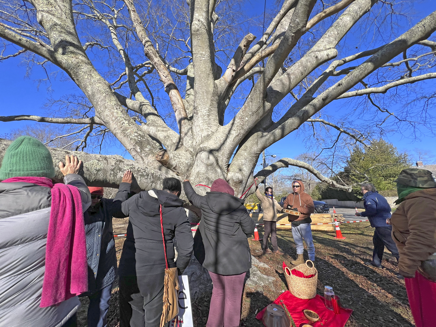 Members of the Shinnecock Nation and the general public gathered at the large, old beech tree at the corner of East Gate Road and Hill Street on January 2 in attempts to preserve it from harm.  DANA SHAW