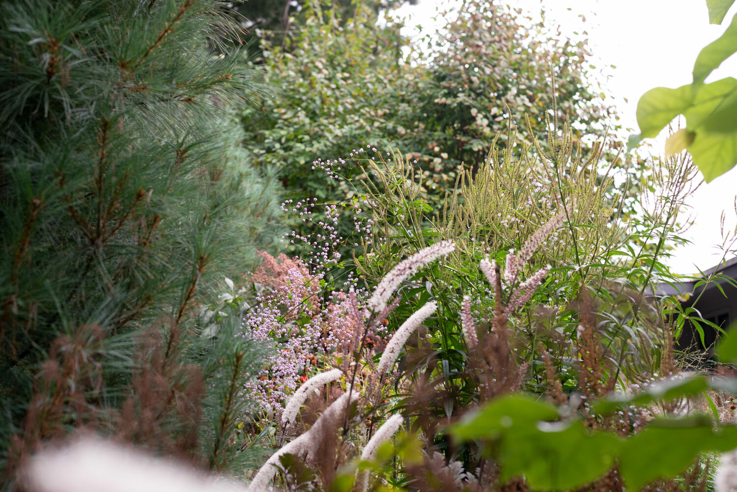 Deborah Chud's garden. MARISSA JOHANNA ORIFICE PHOTOGRAPHY