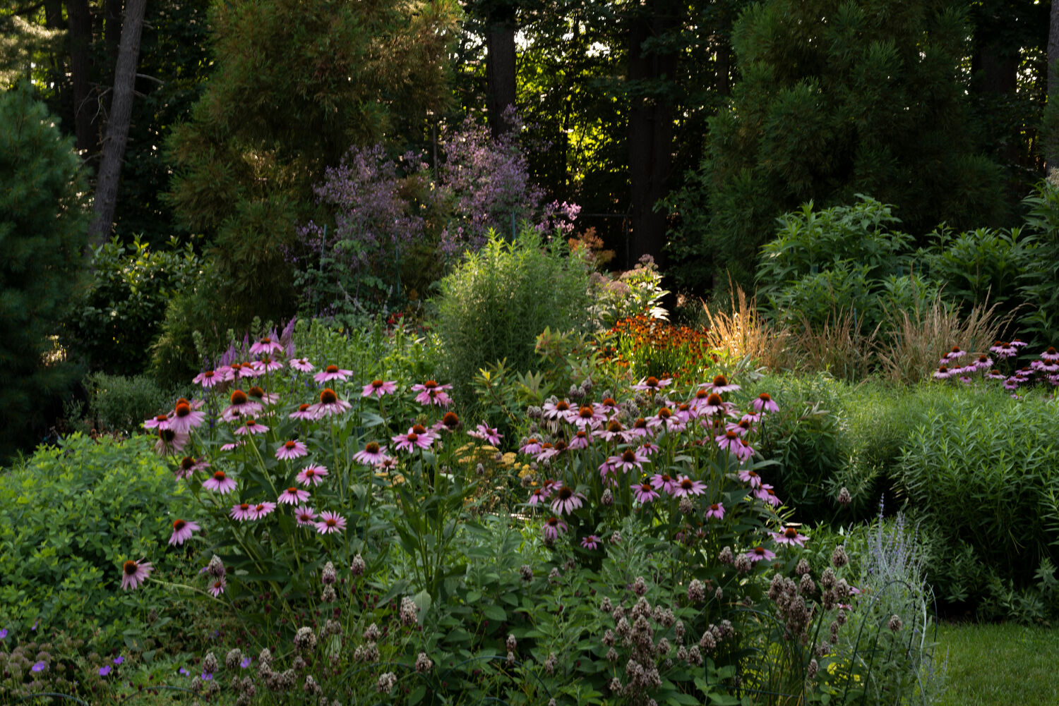 Deborah Chud's garden. MARISSA JOHANNA ORIFICE PHOTOGRAPHY