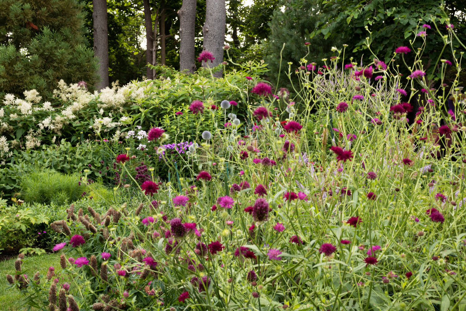 Deborah Chud's garden. MARISSA JOHANNA ORIFICE PHOTOGRAPHY