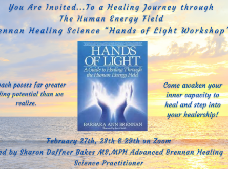 Brennan Healing Science Hands of Light Virtual Workshop