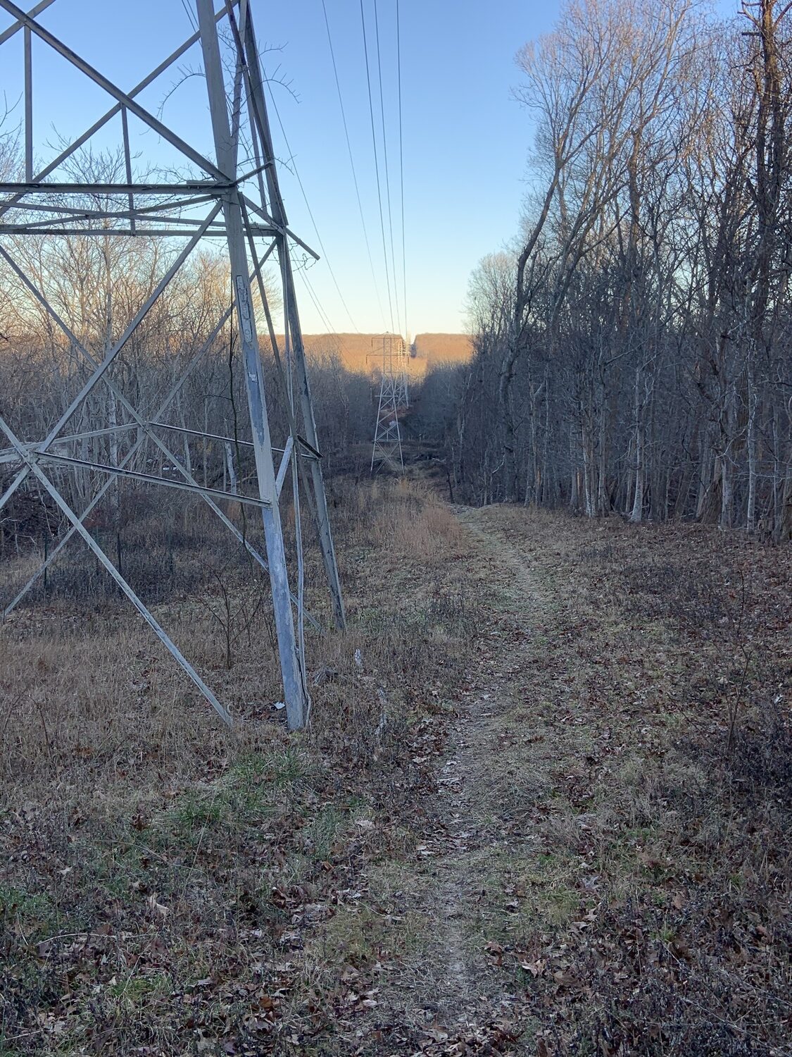 PSEG — Long Island has abandoned a plan to bury a new power line in its right-of-way through the Long Pond Greenbelt. STEPHEN J. KOTZ
