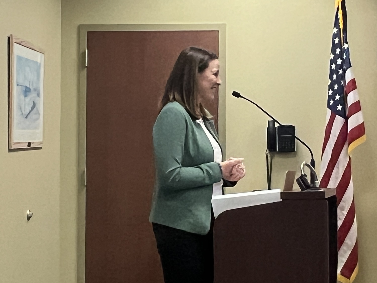 Jaclyn Hakes of M.J. Engineering updates the Village Board on the status of the Local Waterfront Revitalization Plan at the board meeting on February 1. BILL SUTTON