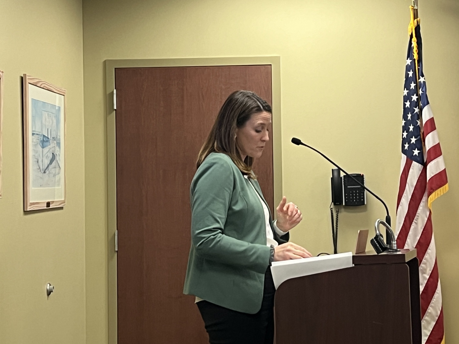 Jaclyn Hakes of M.J. Engineering updates the Village Board on the status of the Local Waterfront Revitalization Plan at the board meeting on February 1. BILL SUTTON