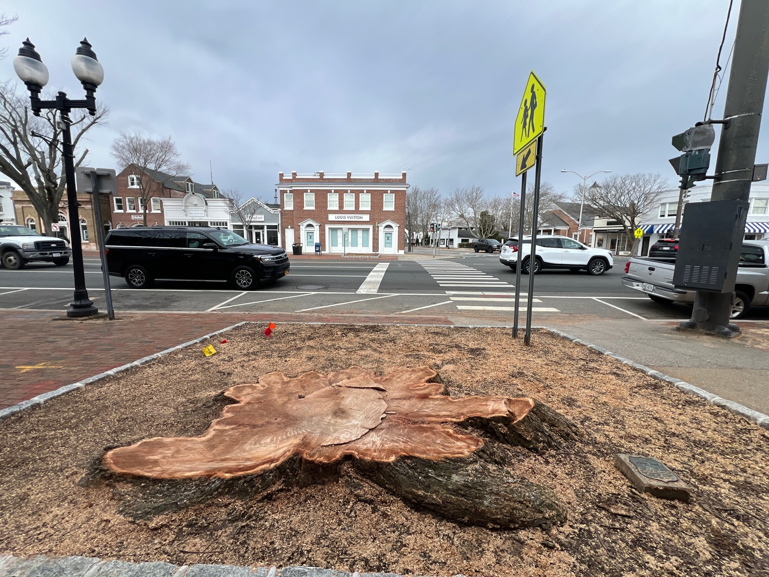 The village will grind out most of the stumps but the massive root systems of the trees will remain. The LVIS said they will figure out if a new tree can be planted in the existing enclosure, or if the enclosures should be relocated to a let a new tree grow unfettered. DOUG KUNTZ