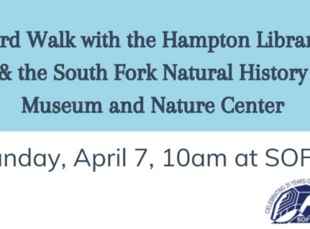 Bird Walk with the Hampton Library & the South Fork Natural History Museum
