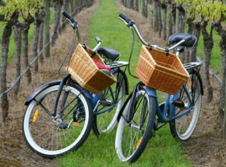 Private Wine Country Bike Tour with Tastings for Two or a Small Group