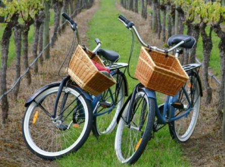 Classic Wine Country Bike Tour