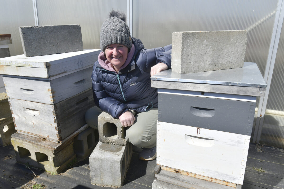 Jennifer Dupree, owner of the Milk Pail and nearly 70 acres of farmland in Bridgehampton, with her hives.  DANA SHAW