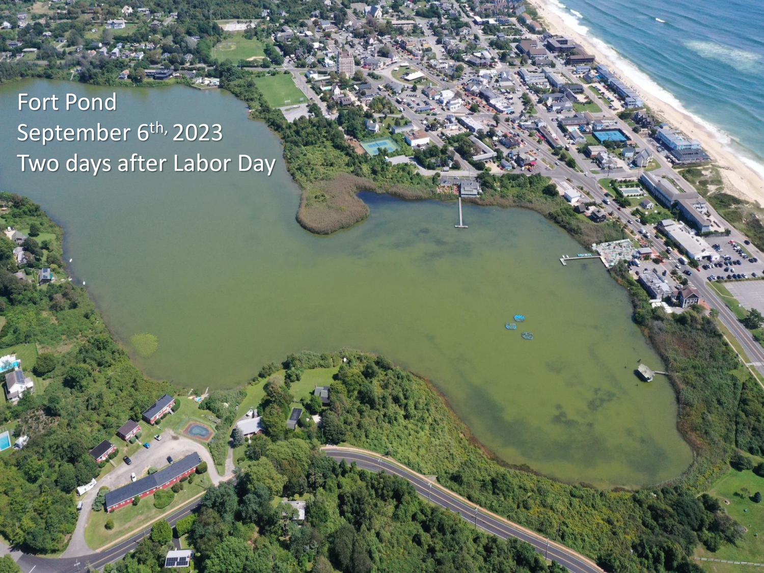 Fort Pond in Montauk saw a dense bloom of toxic blue-green algae in the late summer of 2023.