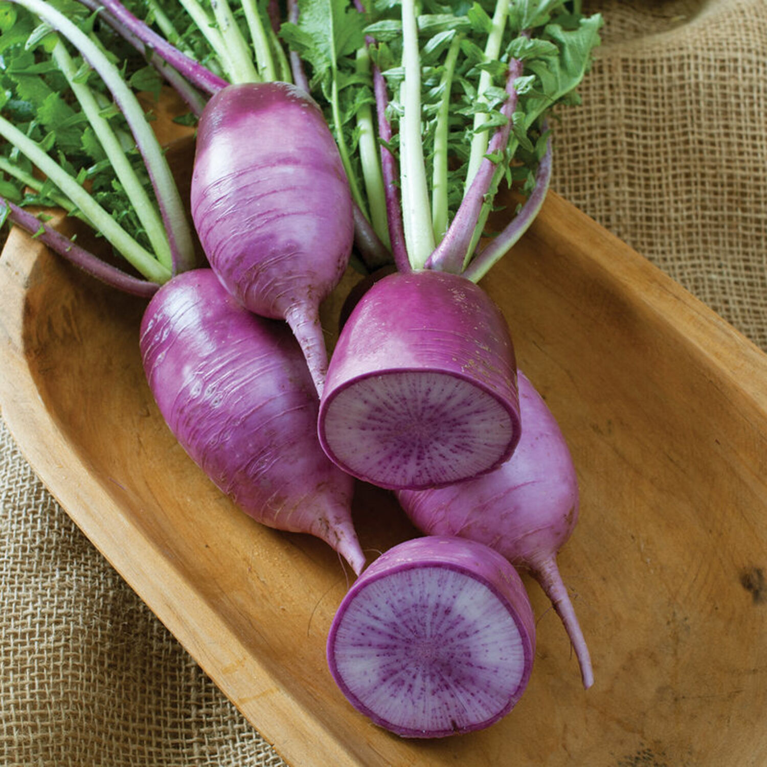 KN-Bravo is a Korean type of radish that’s often used in making kimchi or in salads. It can be spring or summer sown.  COURTESY JOHNNY'S SELECTED SEEDS