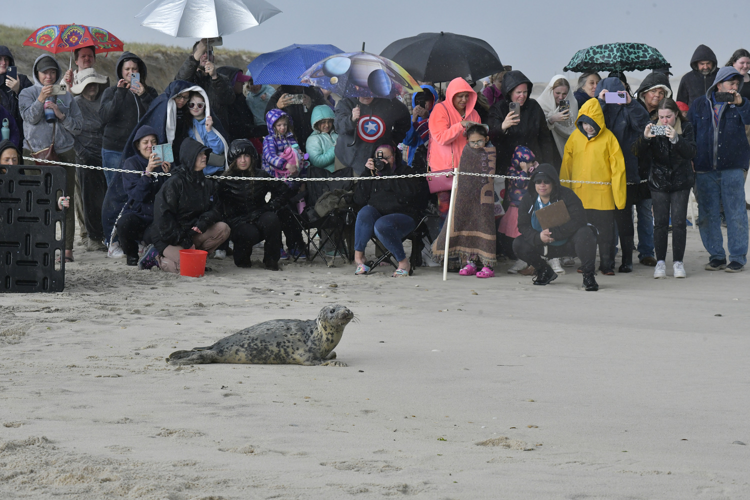 The crowd braves a sudden downpour  at Tiana Beach as Barracuda heads toward the ocean.