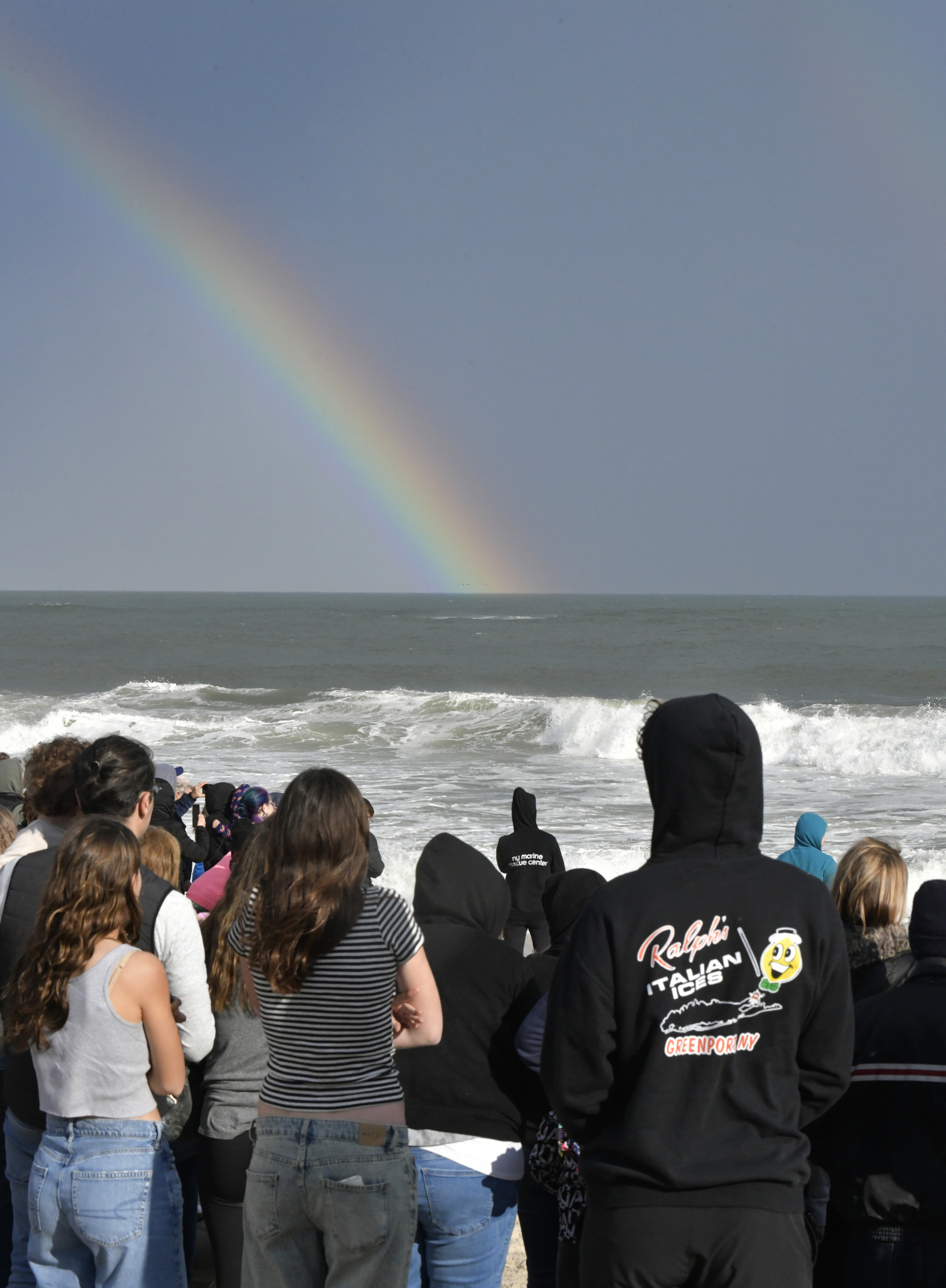 A rainbow appeared as two seals were released at Tiana Beach on April 24.