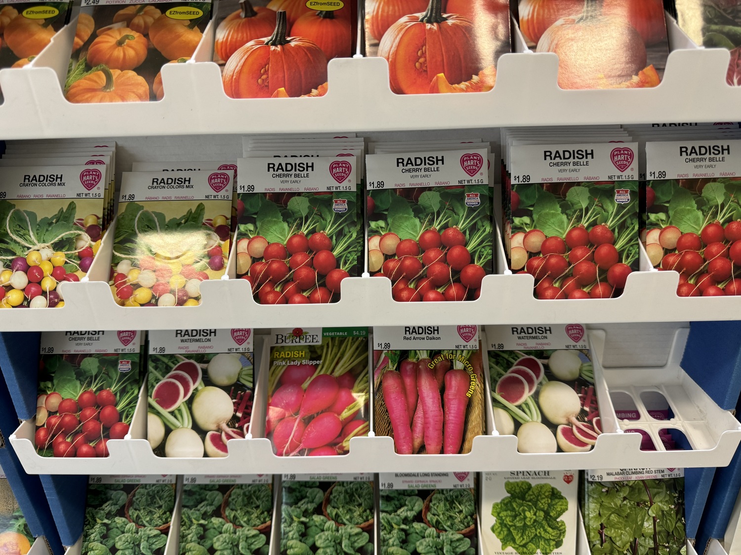 Just a few of the radish choices at a seed rack. It’s planting time so find the types you like and begin planting with new plantings every five to seven days or less. ANDREW MESSINGER