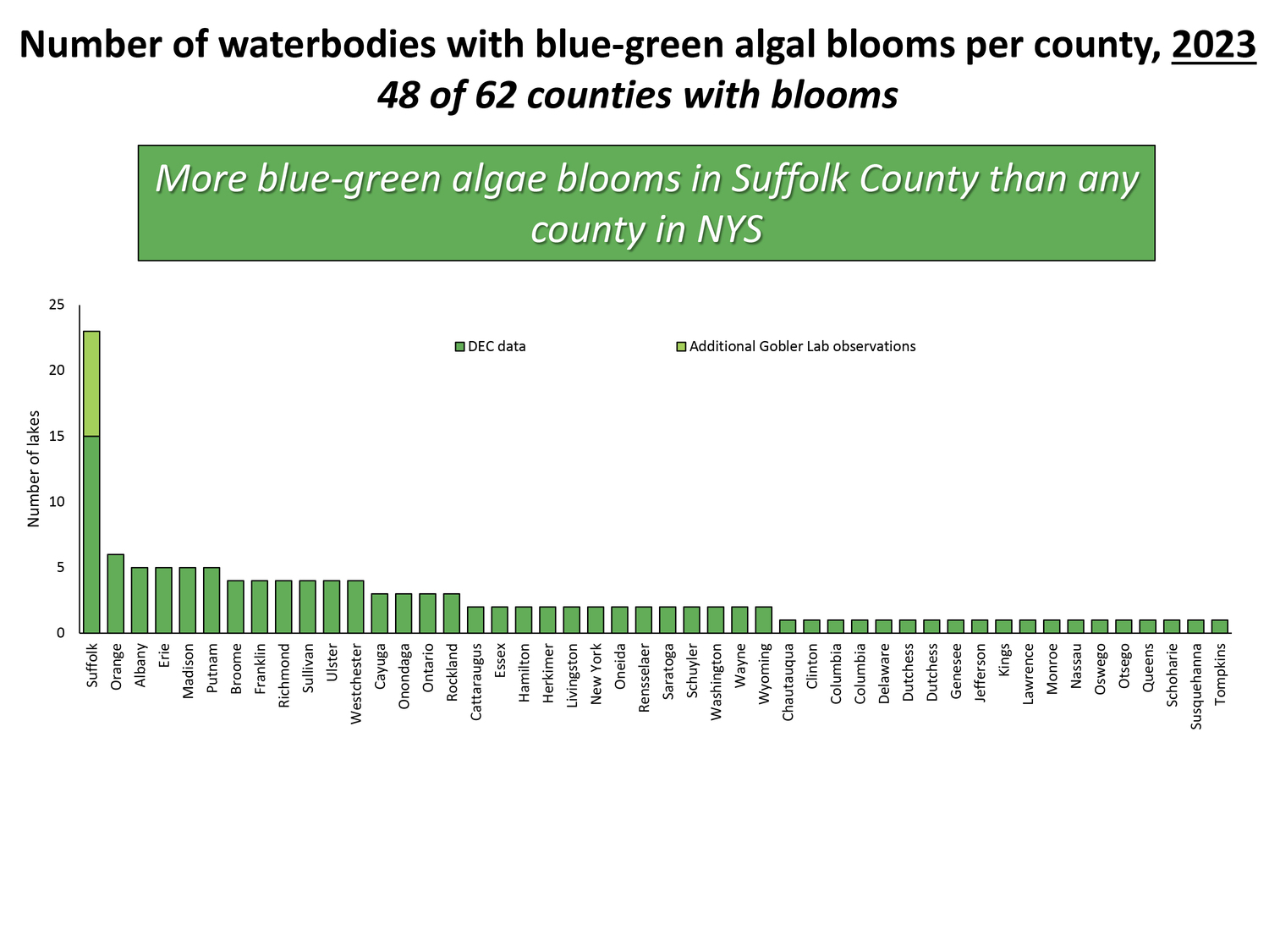 Suffolk County has more than four times as many water bodies that experience toxic blue green algae blooms than any other of the 62 counties in New York State. COURTESY OF THE GOBLER LAB
