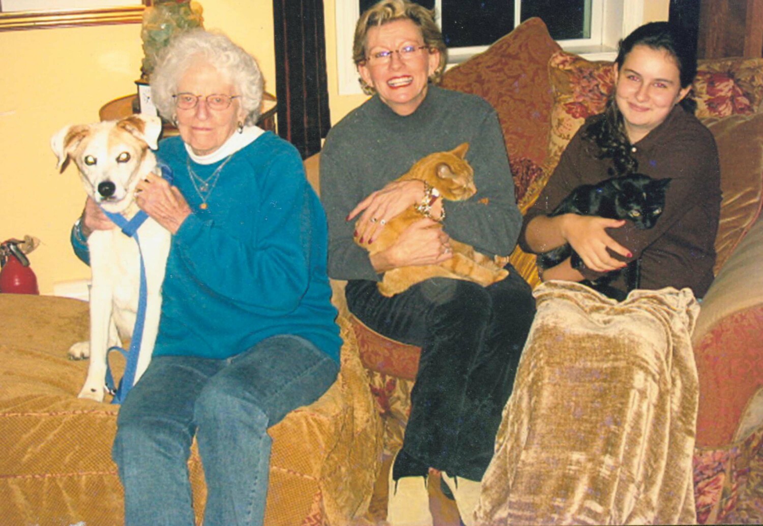 Barbara Posenor with her daughter, France, and granddaughter, Skylar, with animals from ARF in 2003.