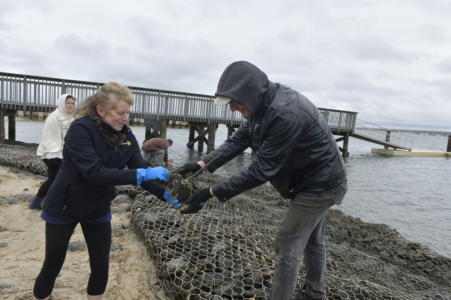 Julie Crowley and Tracy Kolsin move horseshoe crabs over the barrier at the Tiana Bayside Facility in Hampton Bays on morning of May 10.  DANA SHAW