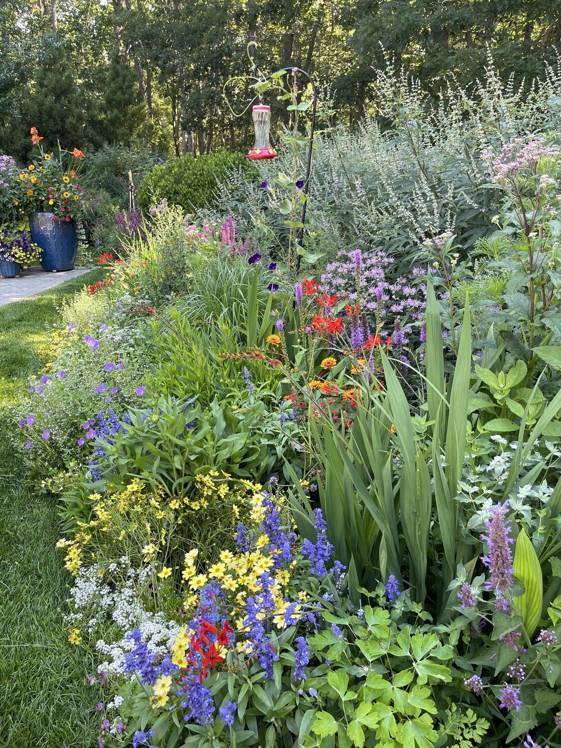 Ruth Ann Rosenthal's garden includes the natives Joe- Pye-weed, Eutrochium fistulosum;  mountain mint, Pycnanthemum muticum; and spotted bee balm, Monarda punctata.  RUTH ANN ROSENTHAL