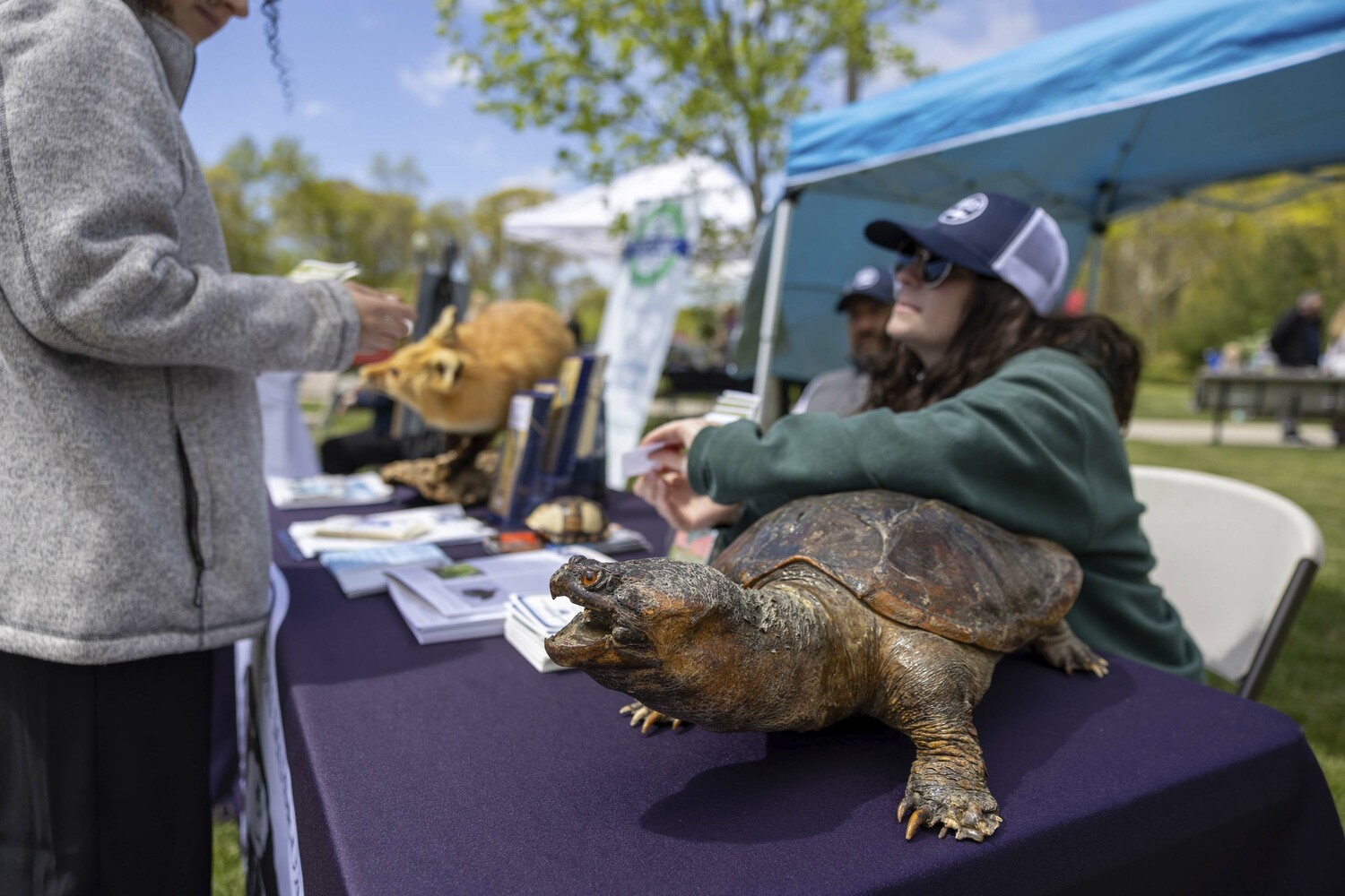 Representatives from the South Fork Natural History Museum at the Community Preservation Fund 25th anniversary celebration at Good Ground Park in Hampton Bays on Saturday.  MICHAEL O'CONNOR