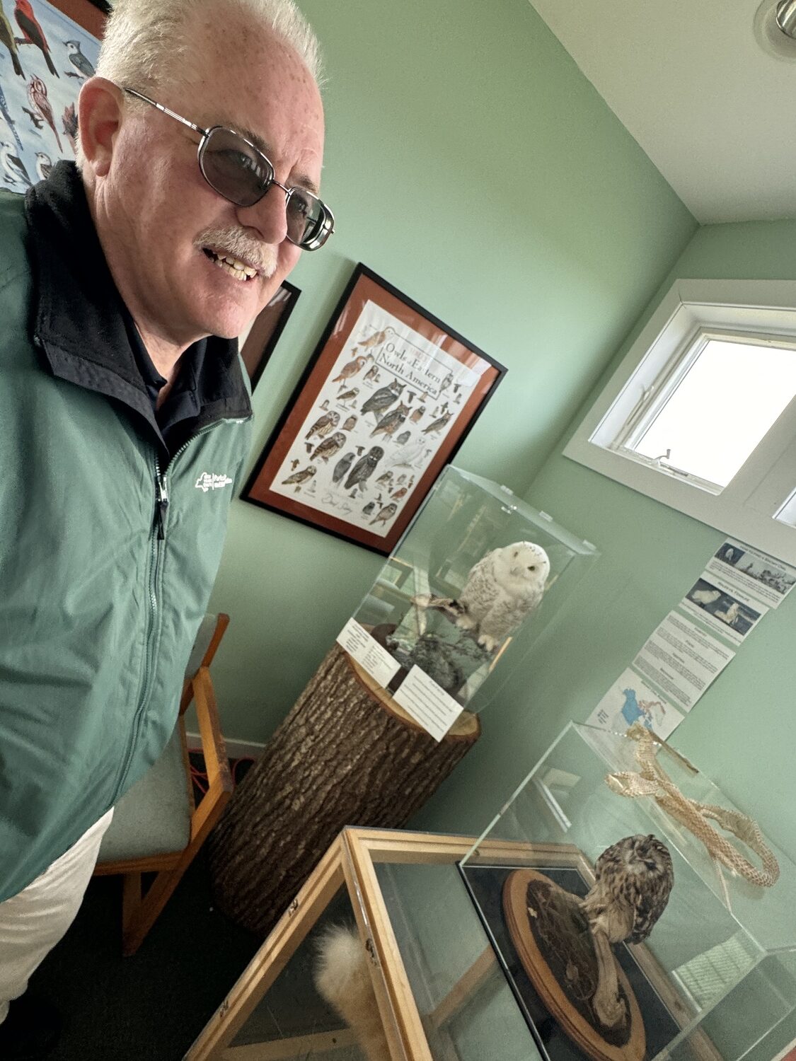 When staff have found dead owls on state land, Dess has had them mounted by taxidermists, giving visitors to Hither Hills a chance to see the beautiful wildlife up close. MICHAEL WRIGHT