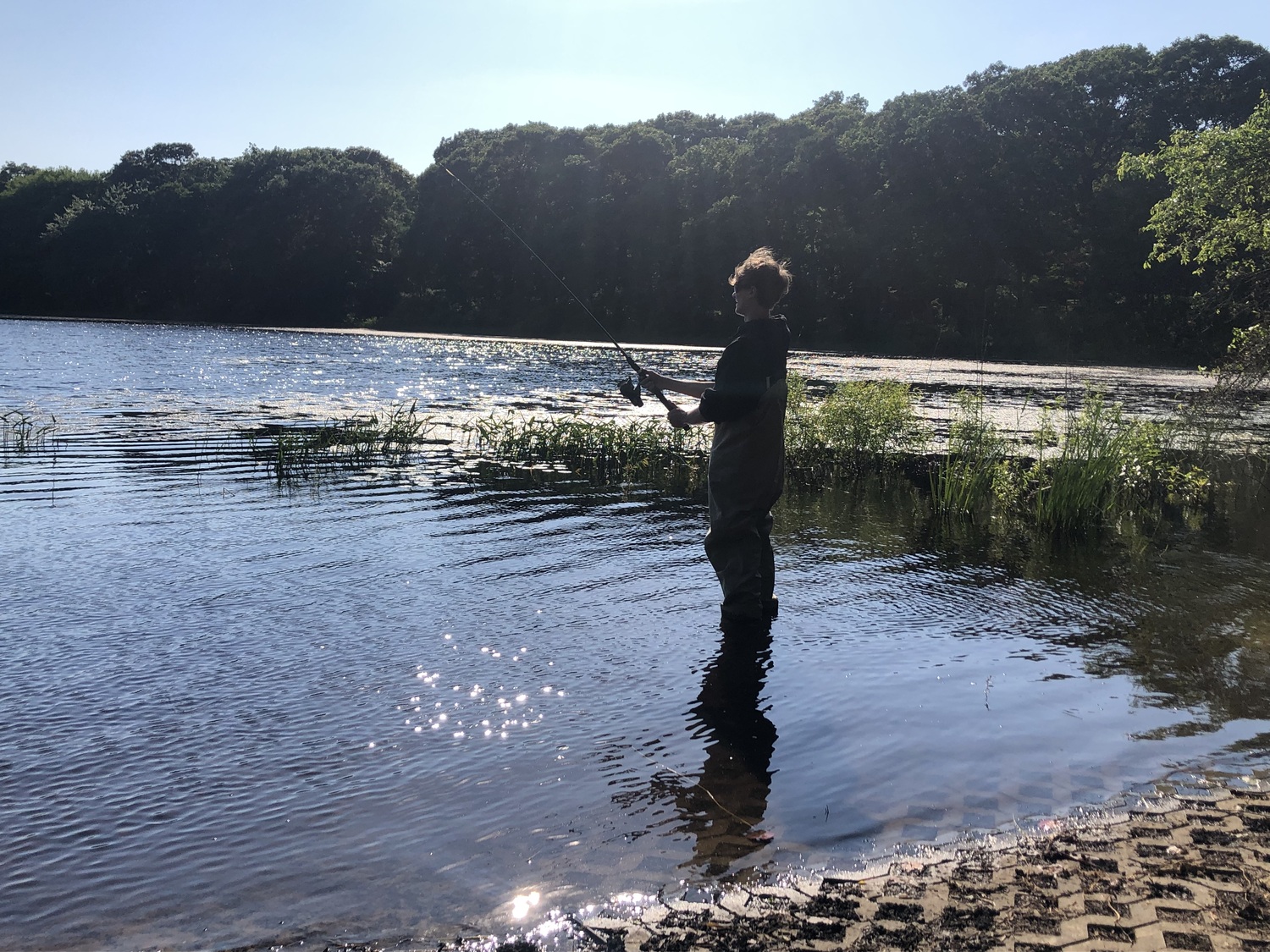 Local resident Douglas Merola-Stisi catching small bass in Round Pond, Sag Harbor.
The National Estuary Program has designated Peconic Bay as an “estuary of national signifi-cance,” helping protect and restore our bays and watershed. While in office, Trump attempted to reduce funding for the National Estuary Program to zero. JENNY NOBLE